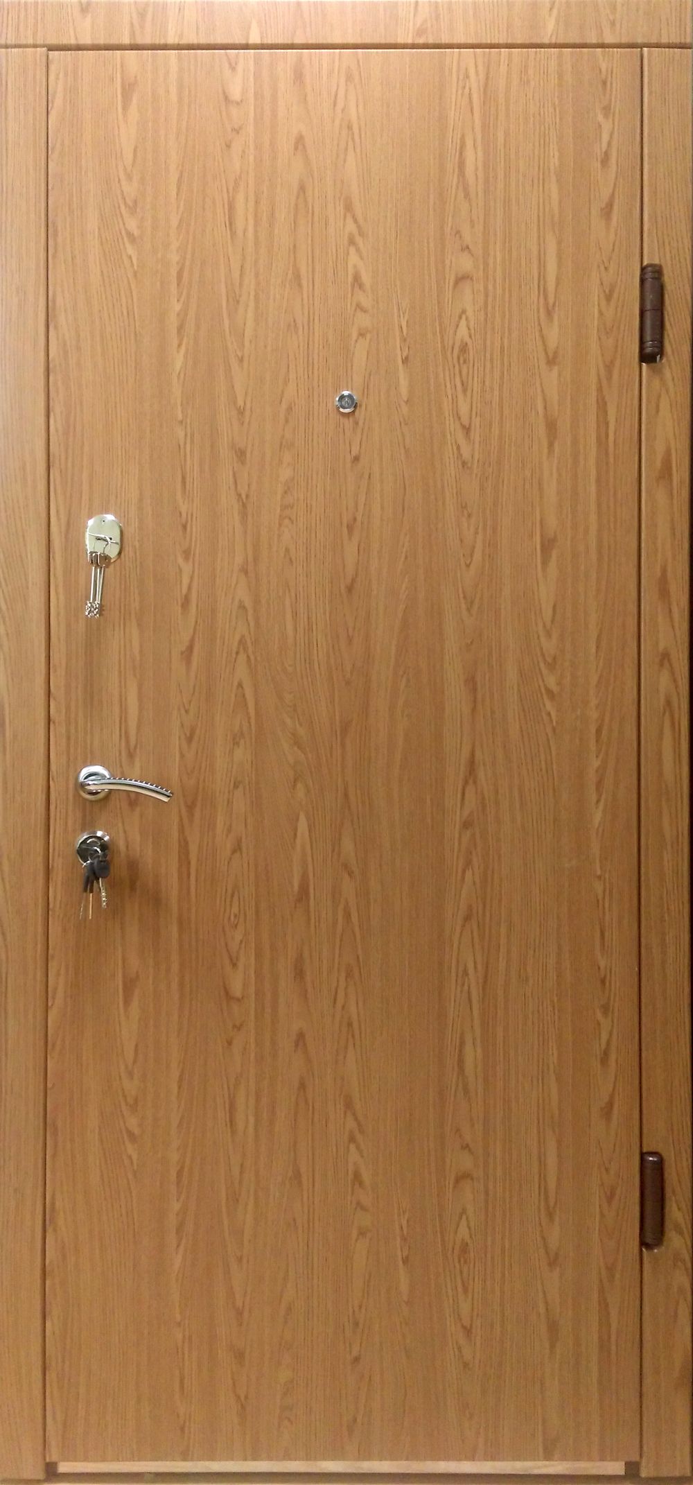 Seifinės buto durys (01DN)