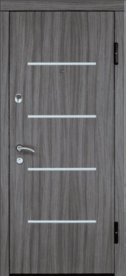 Seifinės buto durys (1019)